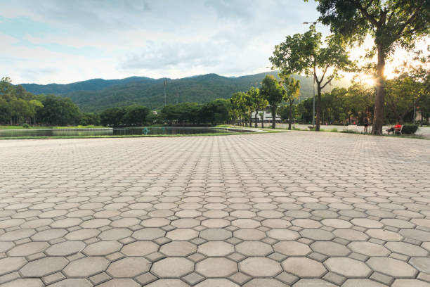Best Custom Driveway Pavers  in Wrightstown, WI