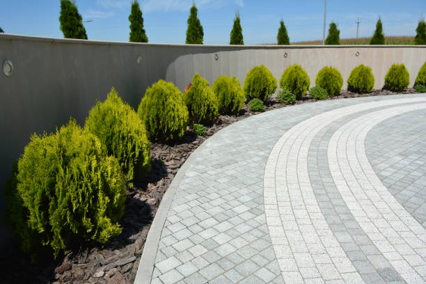 Best Best Driveway Pavers  in Wrightstown, WI